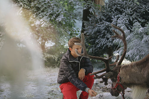 Jack Wills Reindeer