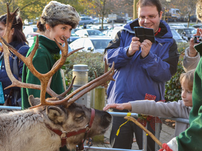 reindeer petting